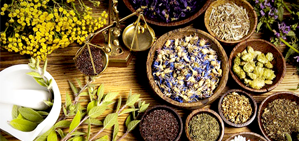 nguyen-lieu-thao-duoc